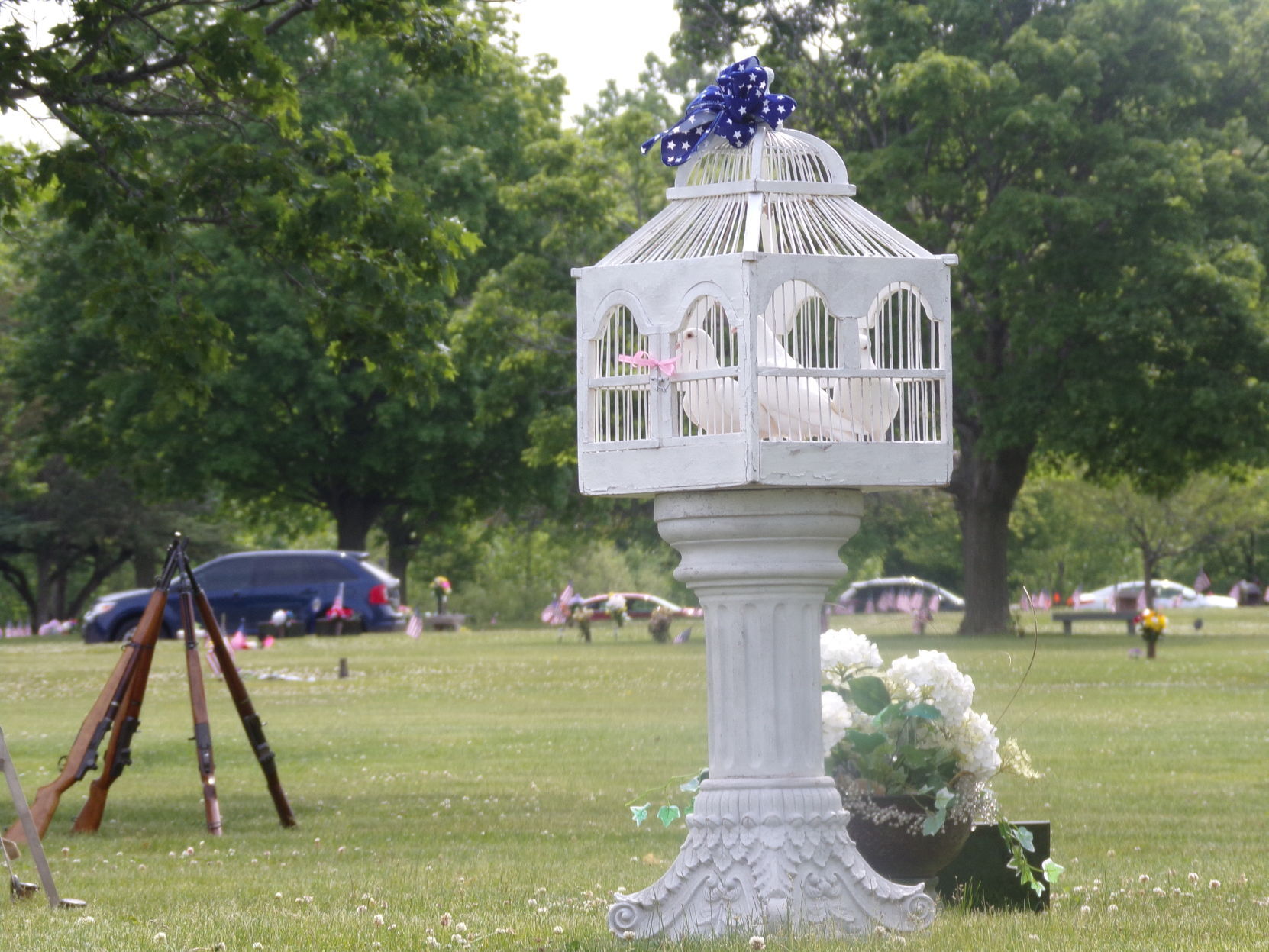 Doves to be released